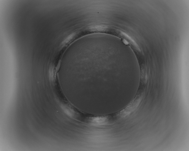 X0000111200168200907081249