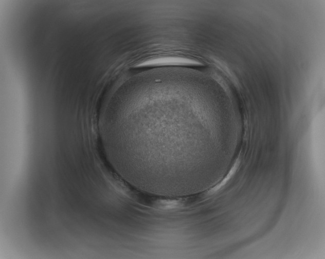 X0000111200170200907081249