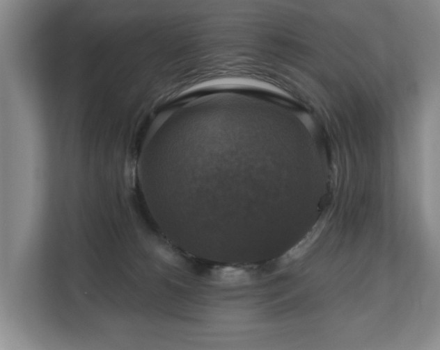 X0000111200180200907081249