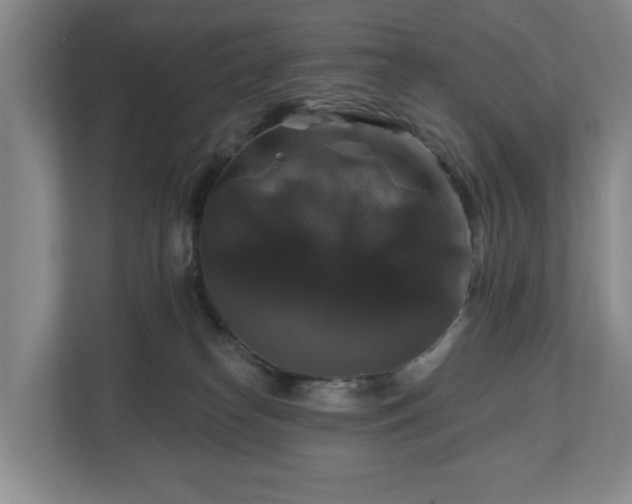 X0000111200182200907081249