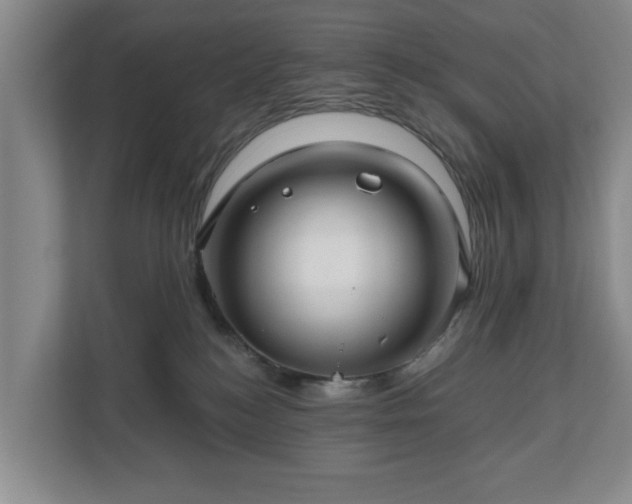 X0000111200184200907081249