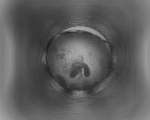 X0000111200185200907081249