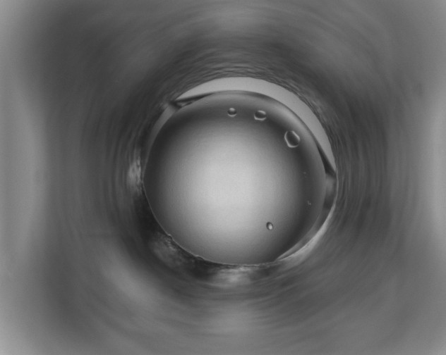 X0000111200190200907081249