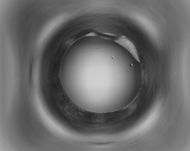 X0000111200191200907081249