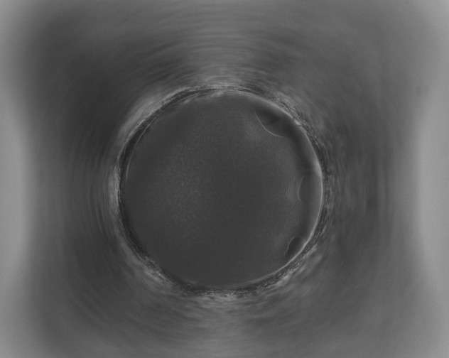 X0000111200194200907081248