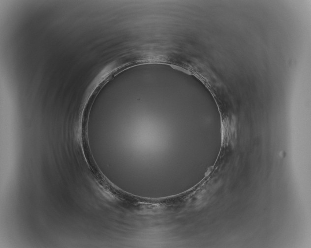 X0000111200195200907081248