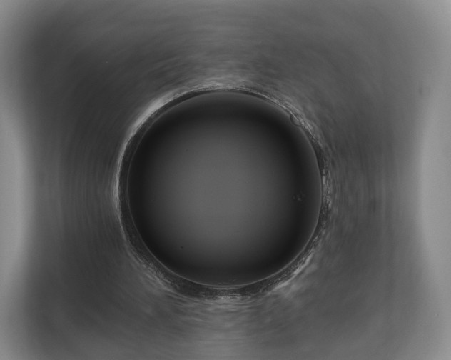 X0000111200196200907081248