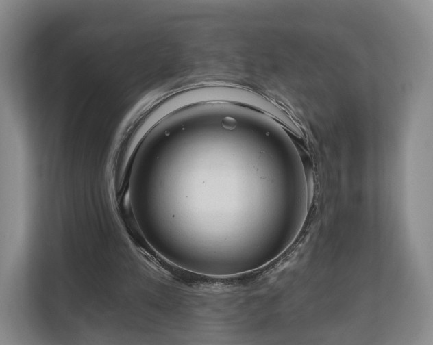 X0000111200197200907081248