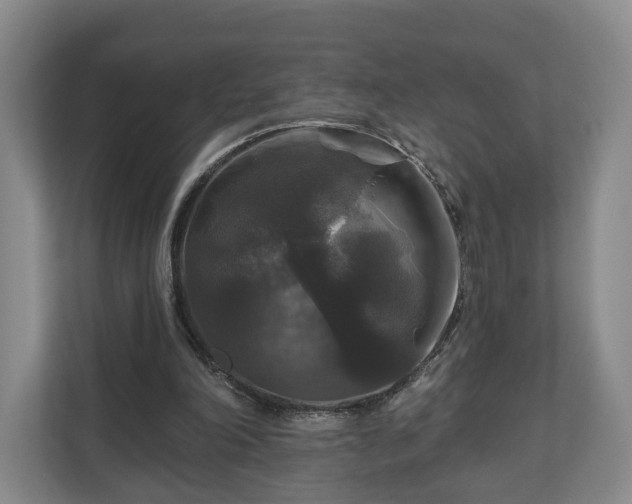 X0000111200198200907081248