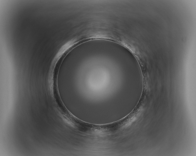 X0000111200199200907081248