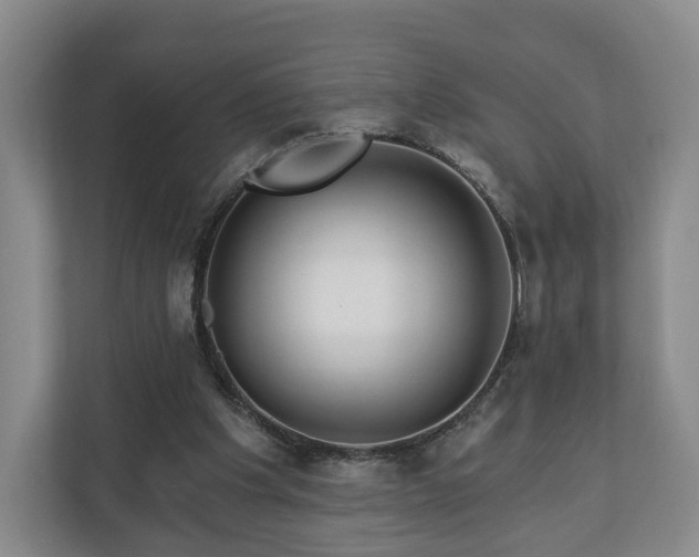 X0000111200201200907081248