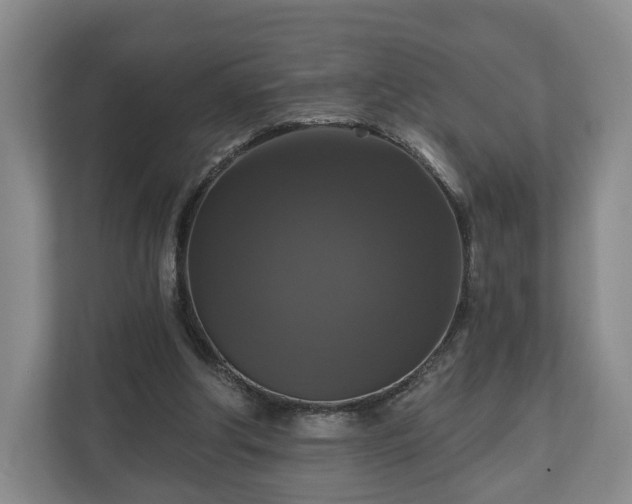 X0000111200202200907081248