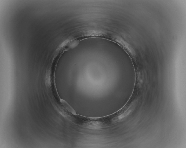 X0000111200203200907081248