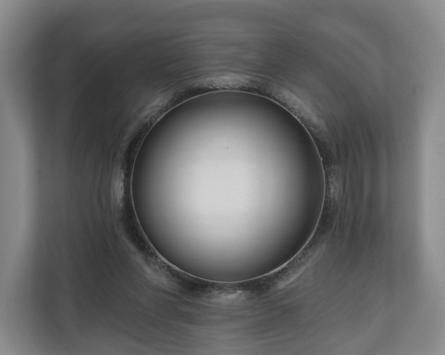 X0000111200206200907081248