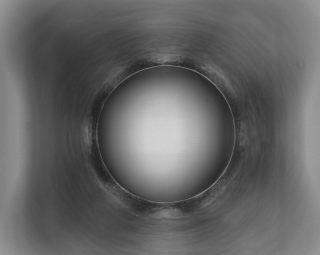 X0000111200210200907081248