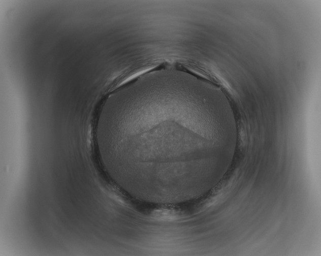 X0000111200211200907081248