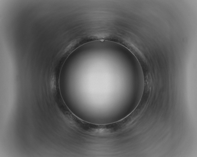 X0000111200212200907081248