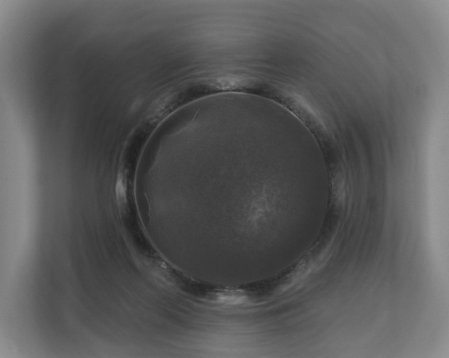 X0000111200214200907081248