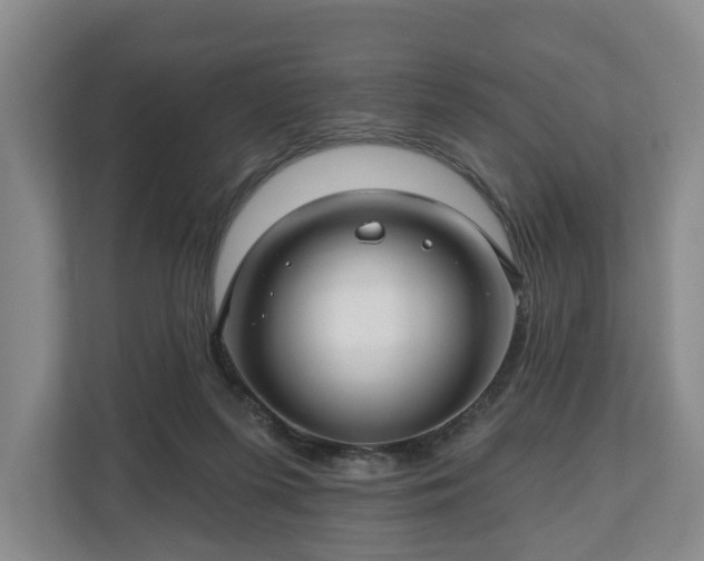 X0000111200215200907081248