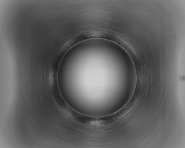 X0000111200216200907081248