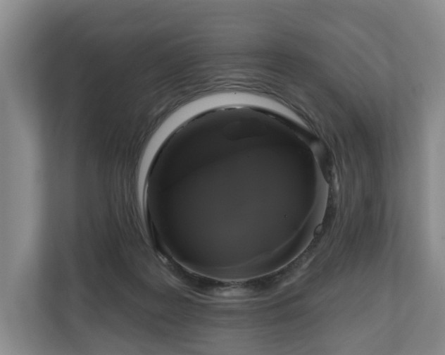 X0000111200219200907081248