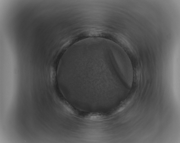 X0000111200228200907081248