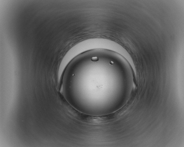 X0000111200229200907081248