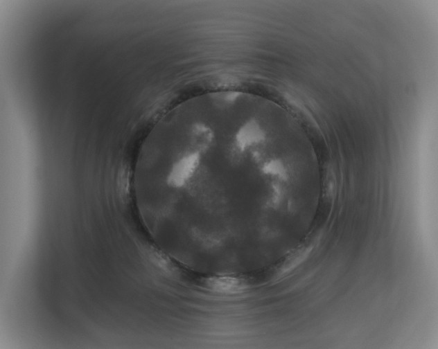 X0000111200230200907081248