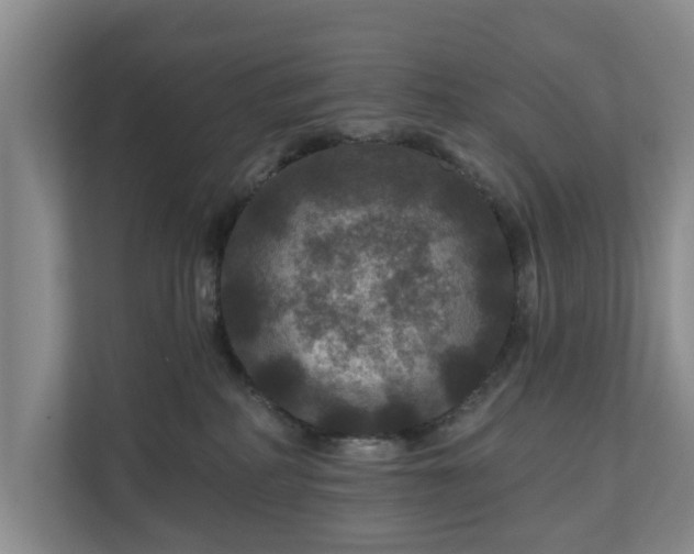 X0000111200234200907081248