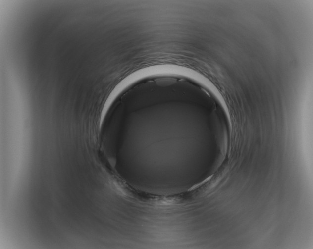 X0000111200235200907081248