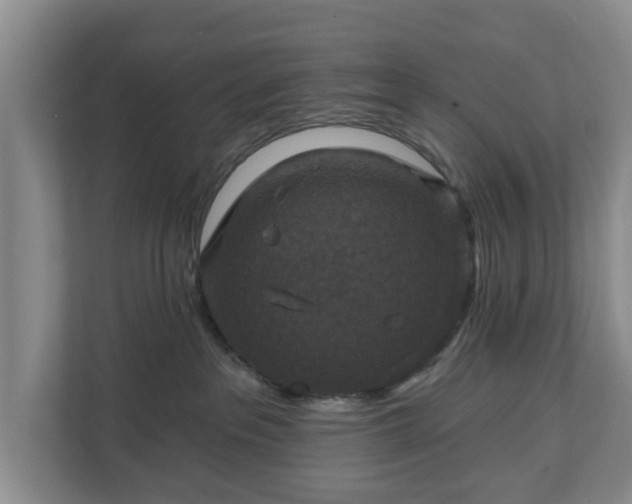 X0000111200237200907081248