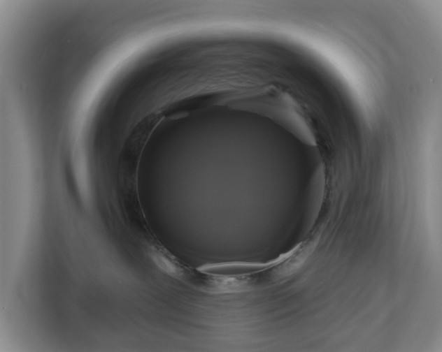 X0000111200239200907081248