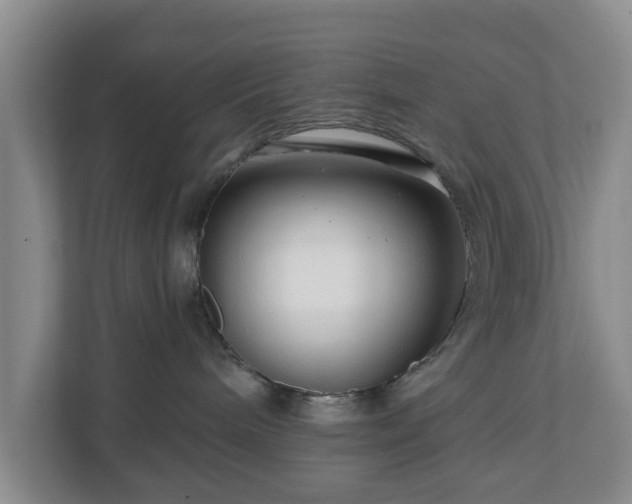 X0000111200240200907081248