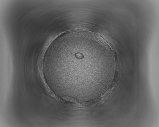 X0000111200241200907081247