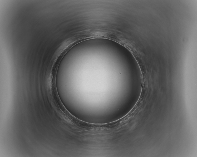 X0000111200242200907081247