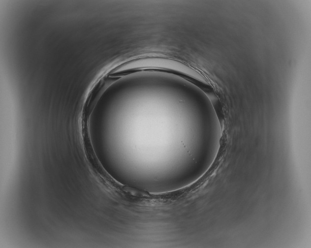 X0000111200244200907081247