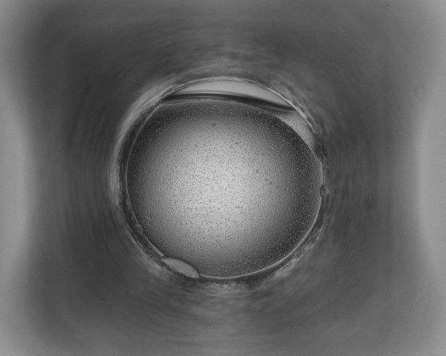 X0000111200245200907081247