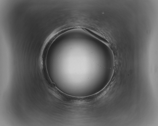 X0000111200246200907081247