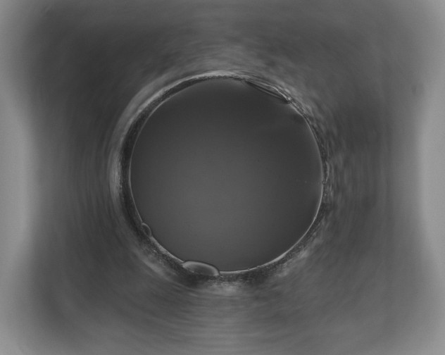 X0000111200247200907081247