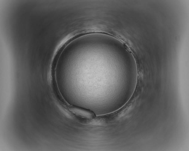 X0000111200248200907081247