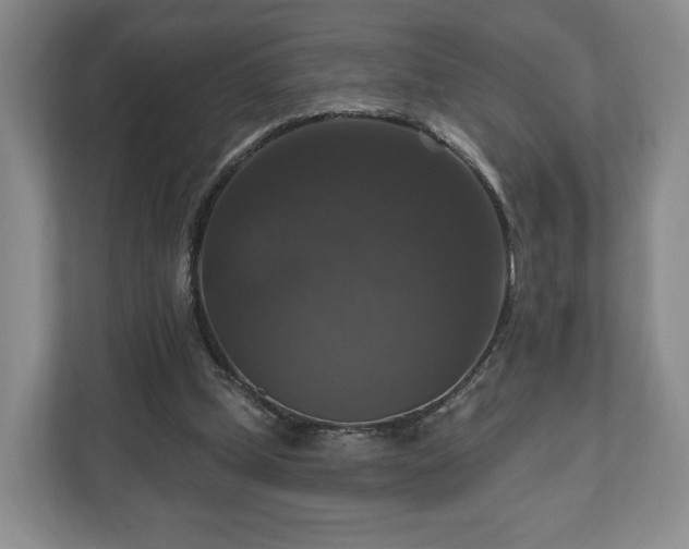 X0000111200249200907081247