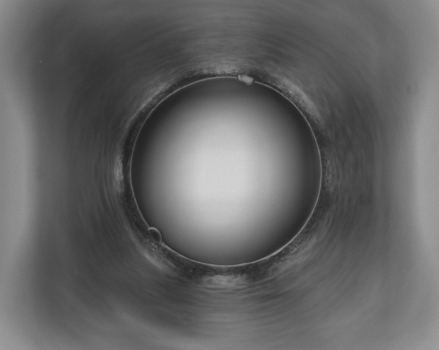 X0000111200251200907081247