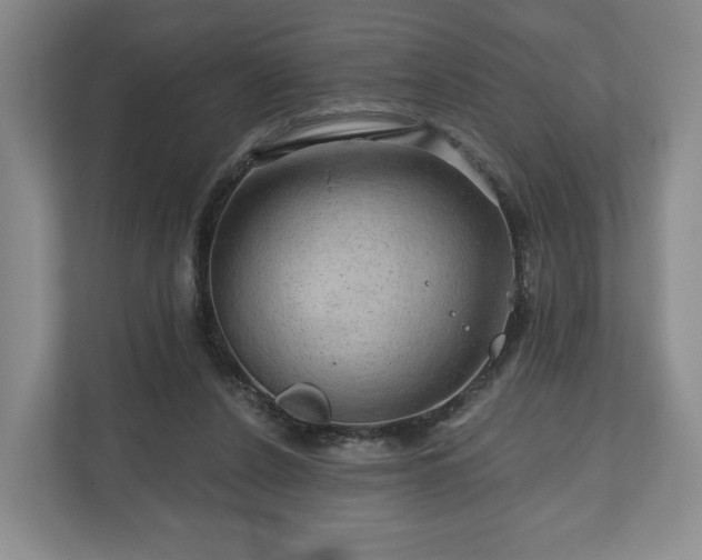 X0000111200256200907081247