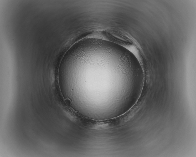 X0000111200257200907081247