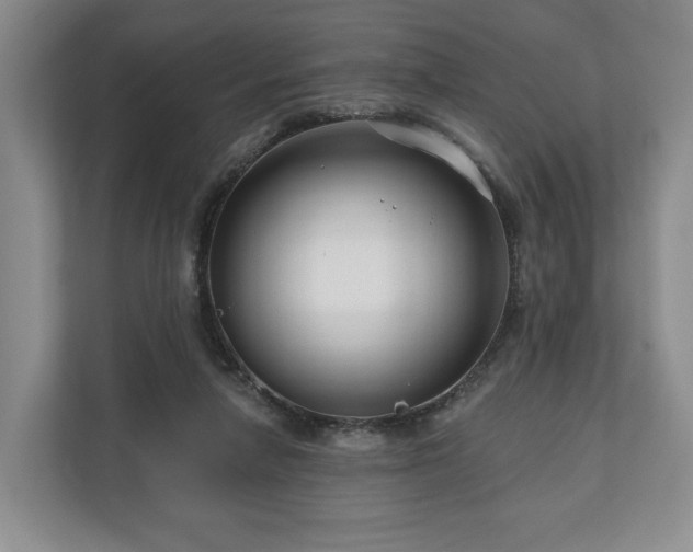 X0000111200258200907081247