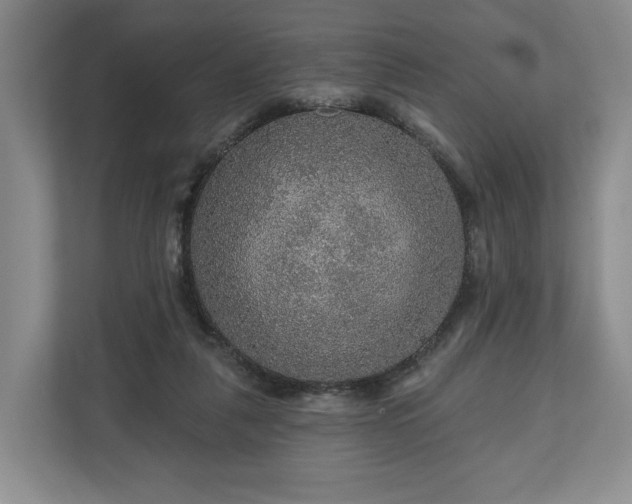 X0000111200259200907081247