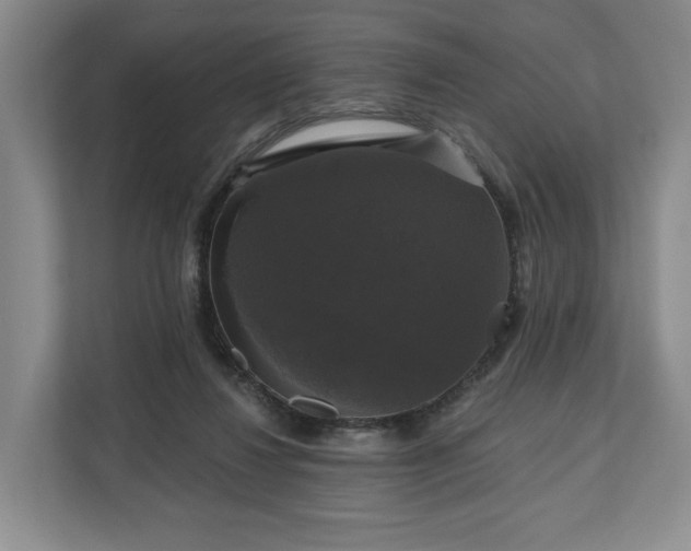 X0000111200260200907081247