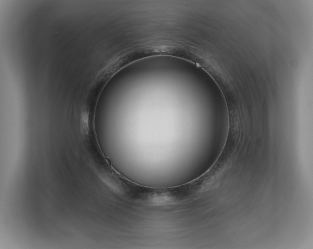 X0000111200262200907081247