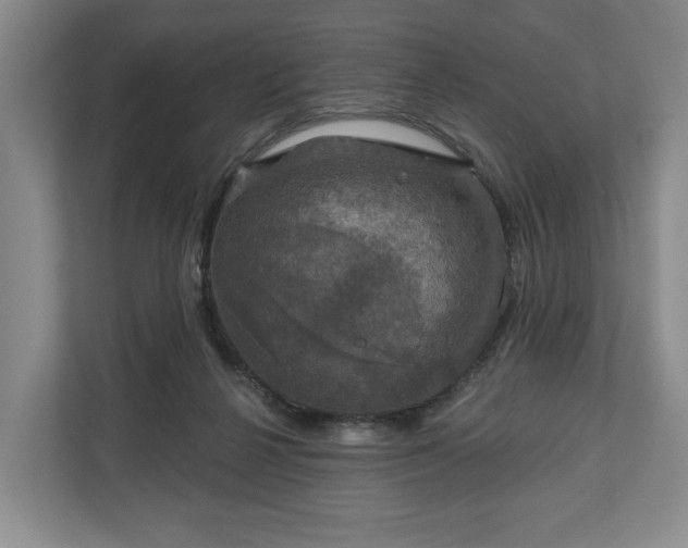 X0000111200264200907081247