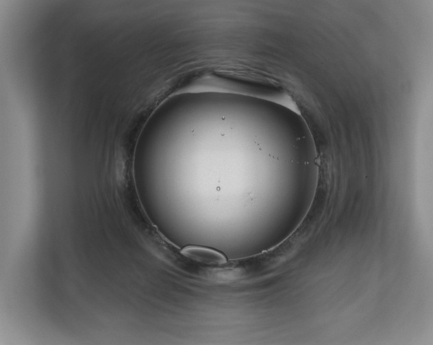 X0000111200266200907081248